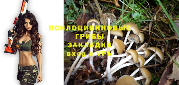 кокс Абаза
