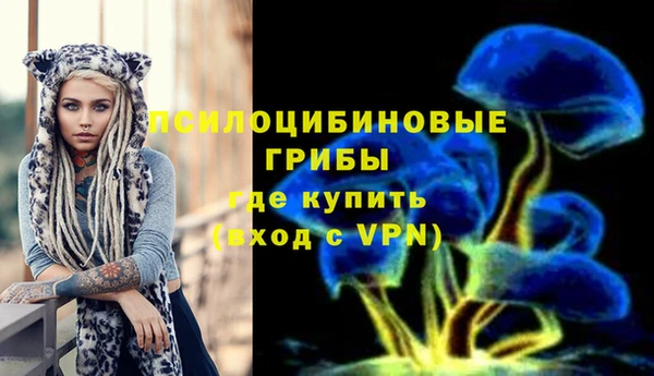 амф Алзамай